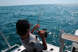 Ultimate Fishing Charters Guide: Tips And Tricks